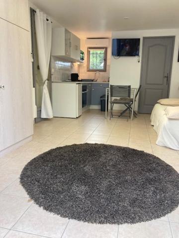 Studio Pied Dans L Eau La Londe-les-Maures Exterior foto